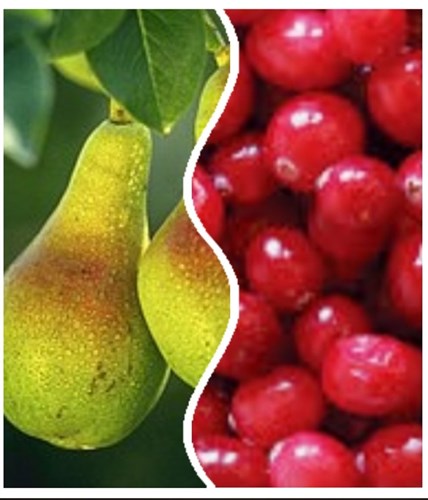 Cranberry Kissing Pear Jam