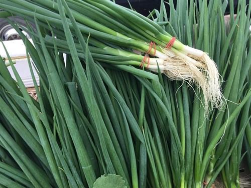 Green onions