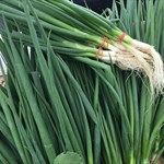 Green onions